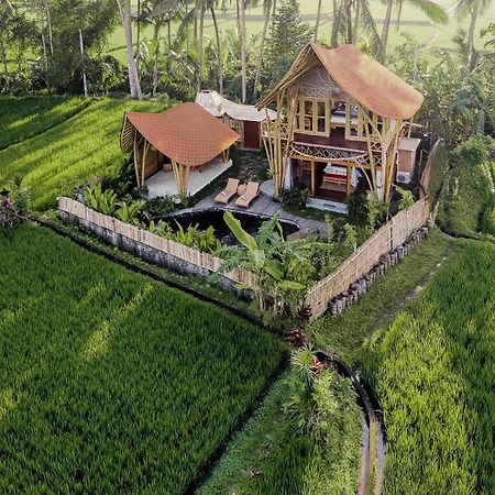 Arapan Ubud Eco Villa Exterior photo