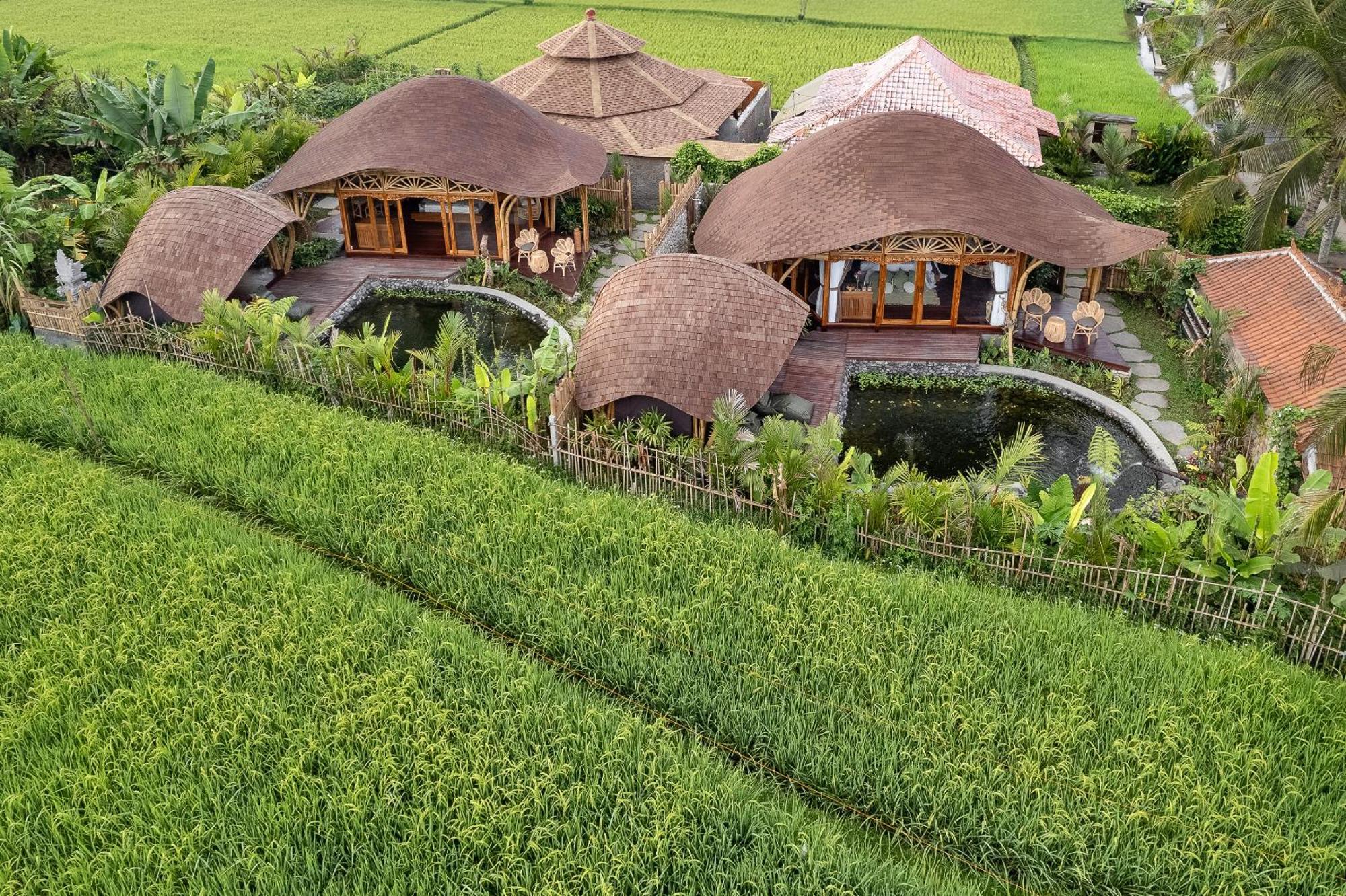 Arapan Ubud Eco Villa Exterior photo