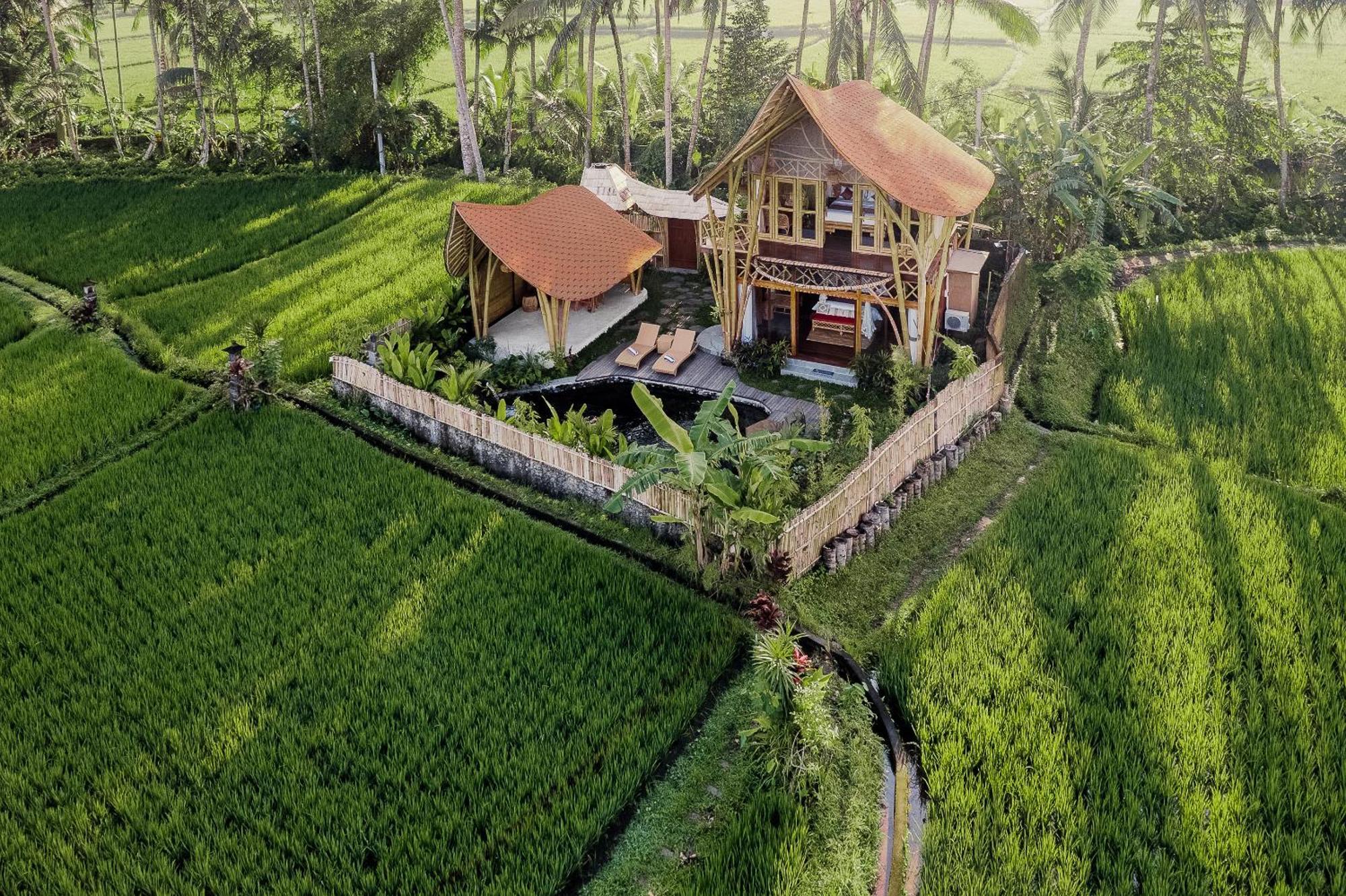 Arapan Ubud Eco Villa Exterior photo